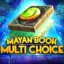 Mayan Book
